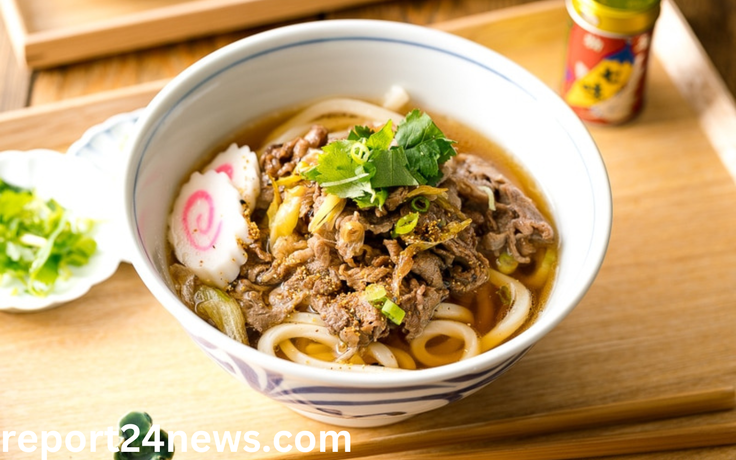 udon noodles